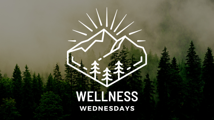 wellness Wednesdays on peak experience podcast